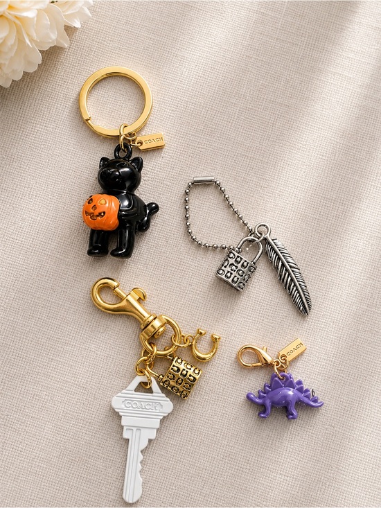 Coach Accessories - Lot of Authentic Repurposed Coach Charms and Keychains